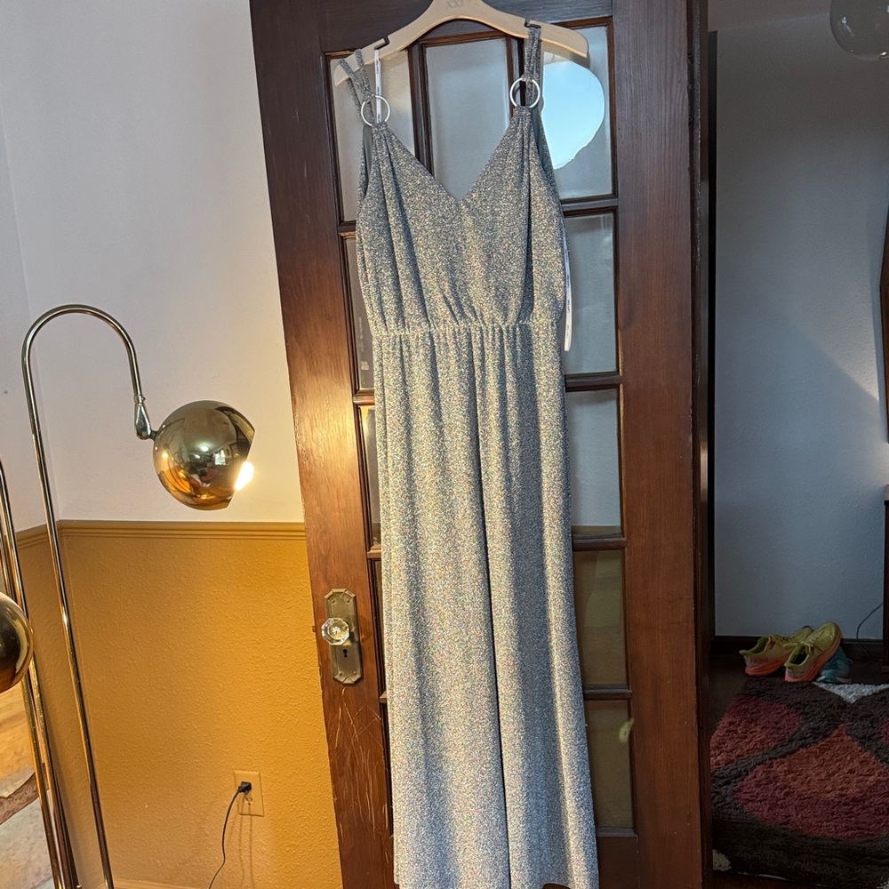Calvin Klein Collection Shimmering Silver Maxi Dress